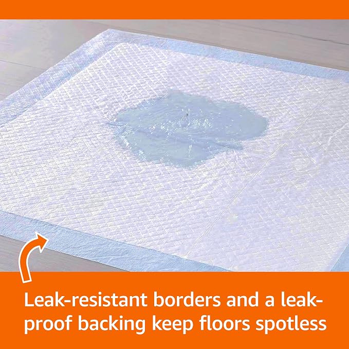 Amazon Basics Heavy Duty Absorbent Dog and Puppy Pee Pads with 5-Layer Leak-Proof Design and Quick-Dry Surface for Potty Training, Regular Size, 24 x 23 Inches, Blue & White, 20-Count