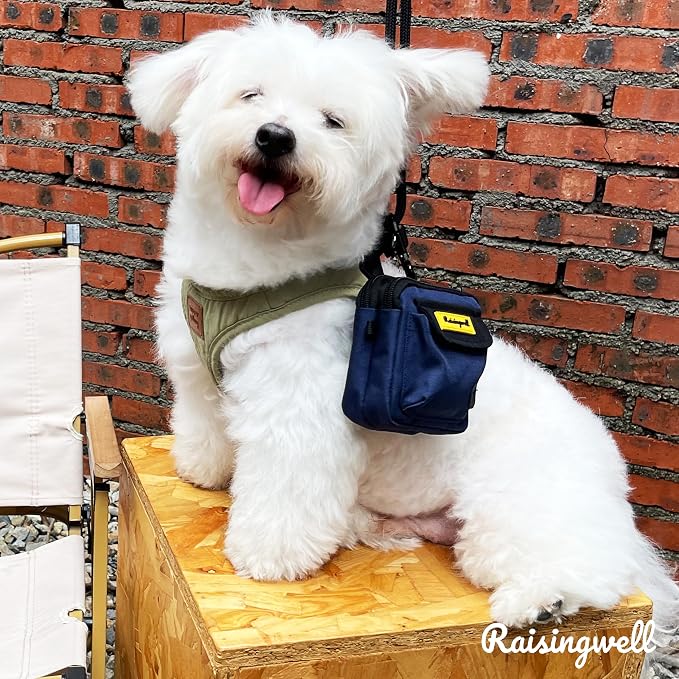 Raisingwell Dog Treat Pouch for Pet Walking and Training with Clicker, Poop Bags and Three Bags Design Small Fanny Zipper Pack Holder for Puppy Snack Dispenser Kit for Leash and Outdoor Use (Blue)