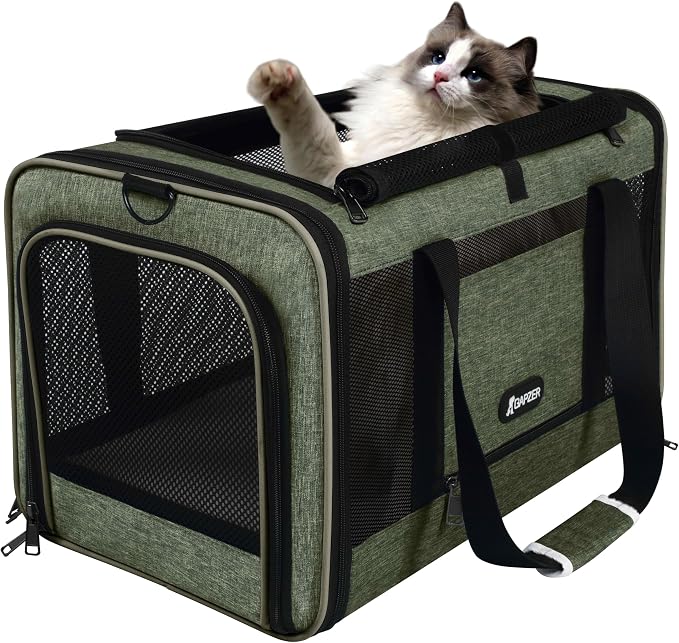 GAPZER Medium Cat Carrier Bag Lightweight, Soft-Sided Small Pet Carry Crate Teacup Breed Dogs, Top Loader Yorkie Kennel Sturdy Durable Mesh up to 15 lbs for Indoor House Dark Green