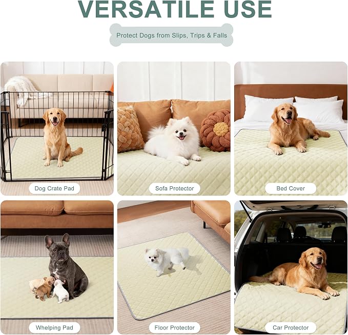 Eterish Reusable Washable Pee Pads for Dogs Large/Extra Large 36'' x 41'' 2 Pack, Absorbent Pet Puppy Dog Training Pads Non-Slip, Waterproof Whelping Potty Pads for Dogs Leak-Proof