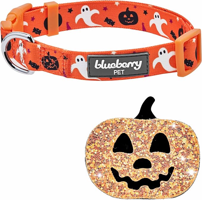 Blueberry Pet New Halloween Party Adjustable Dog Collar with Detachable Pumpkin Accessory, Large, Neck 18"-26"