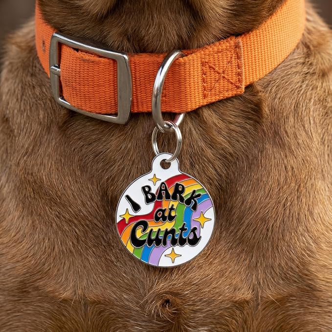 Bad Tags Personalized Dog and Cat ID Tags in 25+ Designs and 2 Sizes - 5 Lines of Custom Engraved Text - Funny Cute Personalized Pet Tags (I Bark at C*NTS - Rainbow, Small (1 inch))