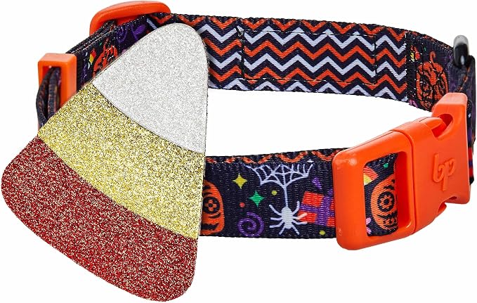 Blueberry Pet Halloween Candy Corn Adjustable Dog Collar with Detachable Glitter Accessory, Small, Neck 12"-16"