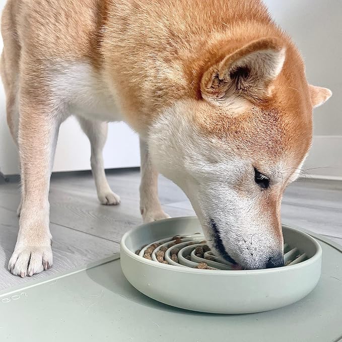 Should We Go? Slow Feeder for Dogs & Puppies, The Slowdown Bowl Silicone Slow Eating, Modern Lick Mat Design, Reduces Gulping, Fits 2 Cups, 7.5” Across x 1.5” Tall, Mealtime Challenge, Medium-Sage