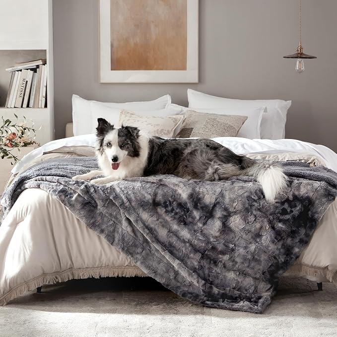 Waterproof Dog Blanket for Extra Large Dogs, Washable Pet Blankets for Couch Furniture Protection with Soft Plush Reversible Design, Cat Throw for Calming Kitten Doggy, Tie-dye Grey, 60x80