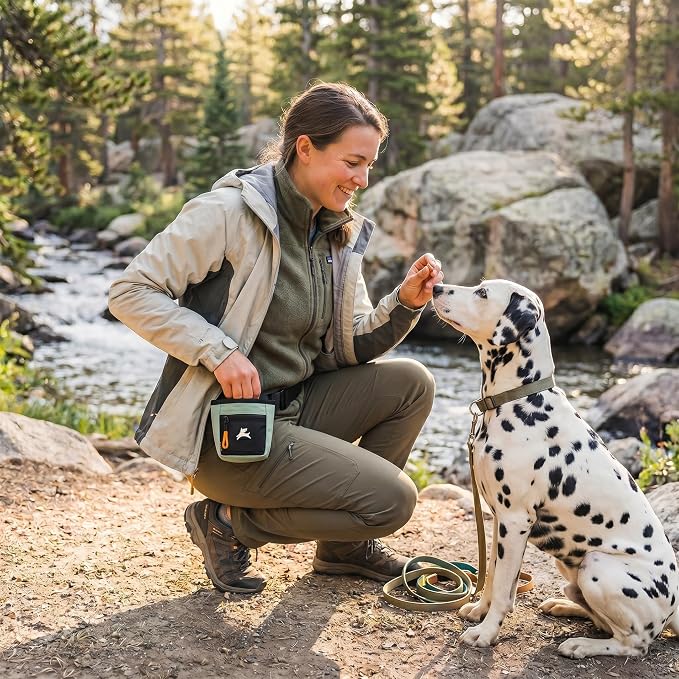 Goodie Treat Bag, Dog Treat Training Pouch | Magnetic Closure | 3 Ways to Wear | Hands-Free Waist Belt | Water-Resistant Recycled Vegan Fabric (Surf)