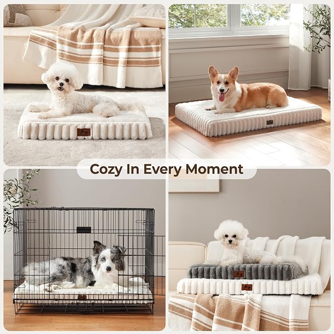 Dog Bed Medium Sized for Crate, Orthopedic Pet Pad for Dogs with Removable Washable Cover, Waterproof Dogs Beds Up to 40 lbs, Soft Plush Surface & Egg Foam for Calming, 30x20x3 Inch, Cream