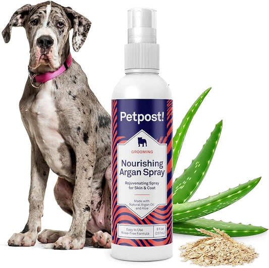 Petpost | Waterless Argan Oil Dog Shampoo Spray. Rinse-Free Cleaner & Deodorizer with Aloe & Safflower Oil. Moisturizes Skin & Softens Coat. 8 oz