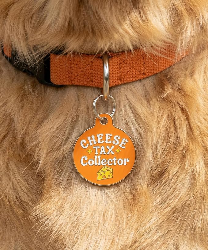 Bad Tags Personalized Dog and Cat ID Tags in 25+ Designs and 2 Sizes - 5 Lines of Custom Engraved Text - Funny Cute Personalized Pet Tags (Cheese Tax Collector, Small (1 inch))