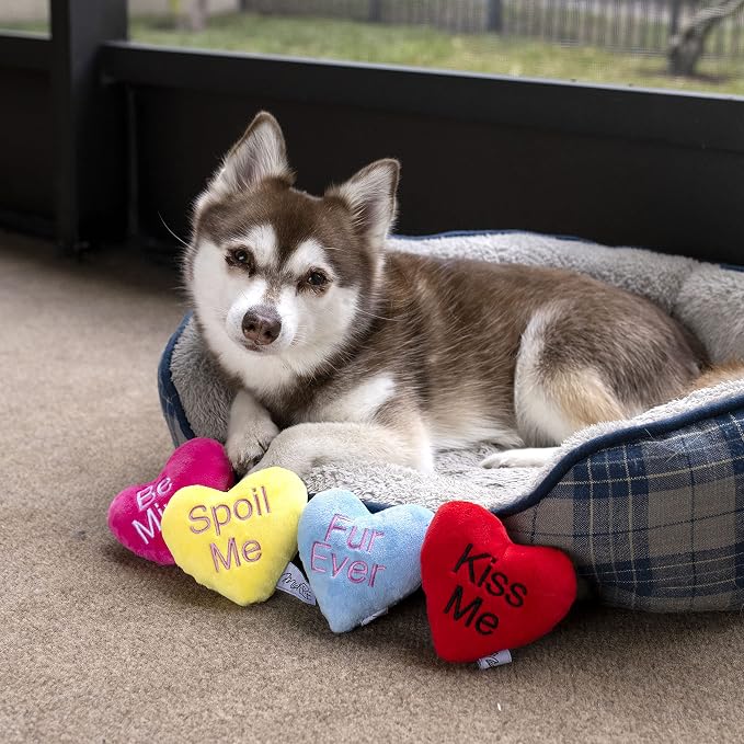 Midlee Candy Heart Valentine's Dog Toy- Set of 4 (Small)