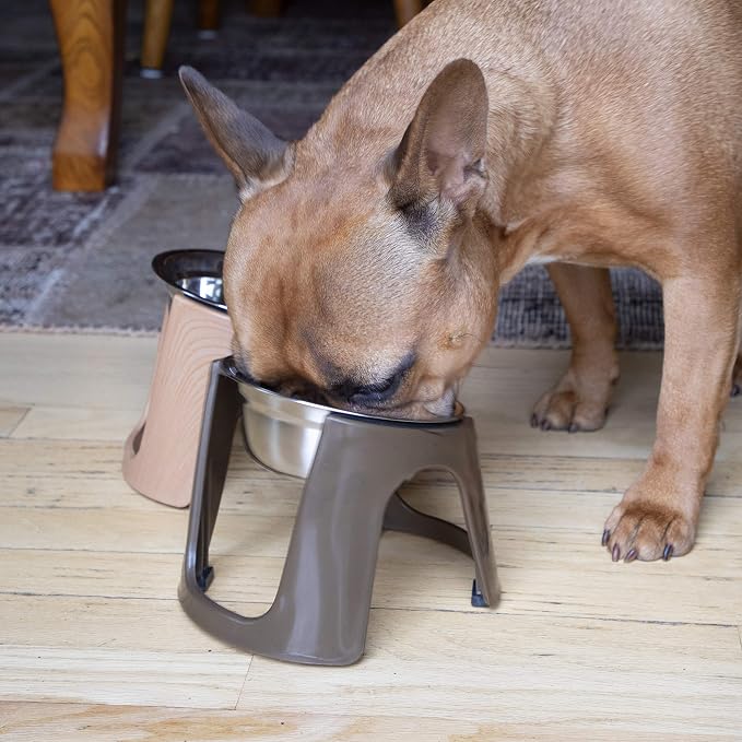 SportPet Food Bowls_Raised Stainless Steel Bowl_Gravity Feeder and Waterer,Brown
