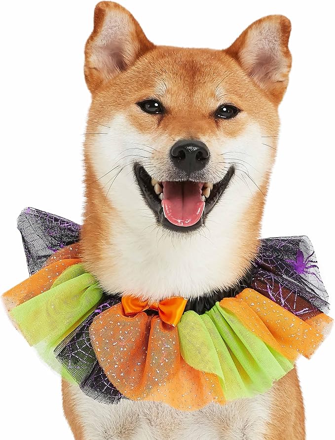 Blueberry Pet Halloween Party Adjustable Breakaway Costume Dog Collar in Cool Tone, X-Small