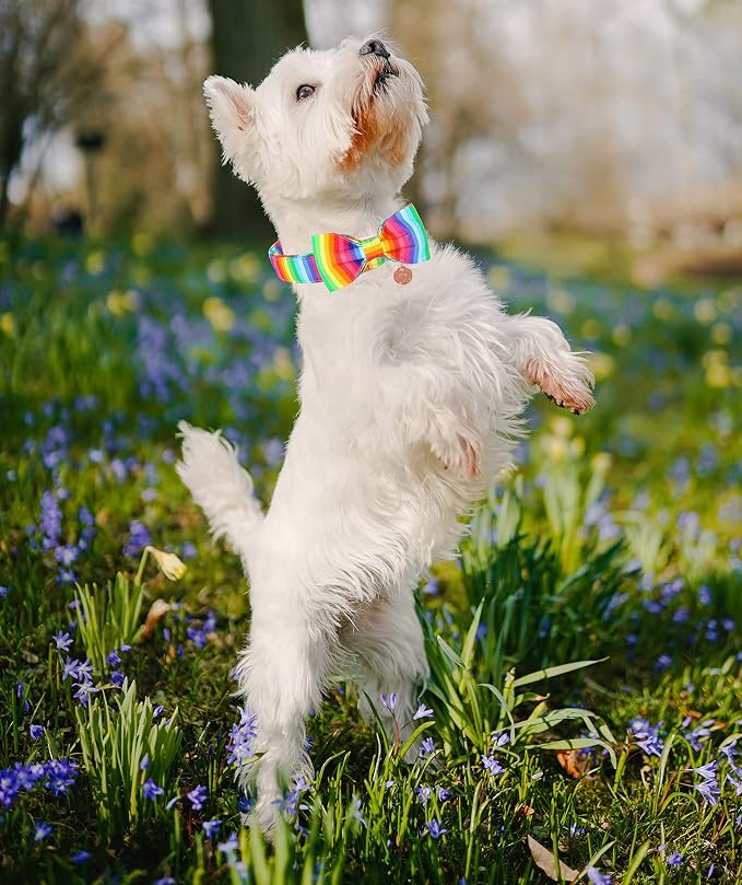 DOGWONG Rainbow Dog Collar with Pretty Bow Tie for LGBT Pride Month - Adjustable and Comfortable Collar for Large Medium Small Dog,XS