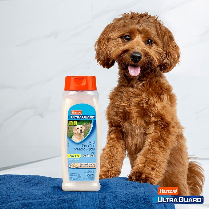 Hartz UltraGuard Rid Flea & Tick Oatmeal Dog Shampoo, 18 oz Bottle (Pack of 2)