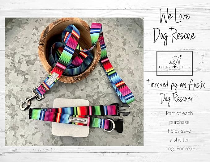 Lucky Love Dog - Adjustable Dog Collar with Easy Click Buckle for Small Dogs, Durable, & Comfortable for Male & Female Dogs, Pet Collar for Puppies & Adult Ones - Nacho, XS