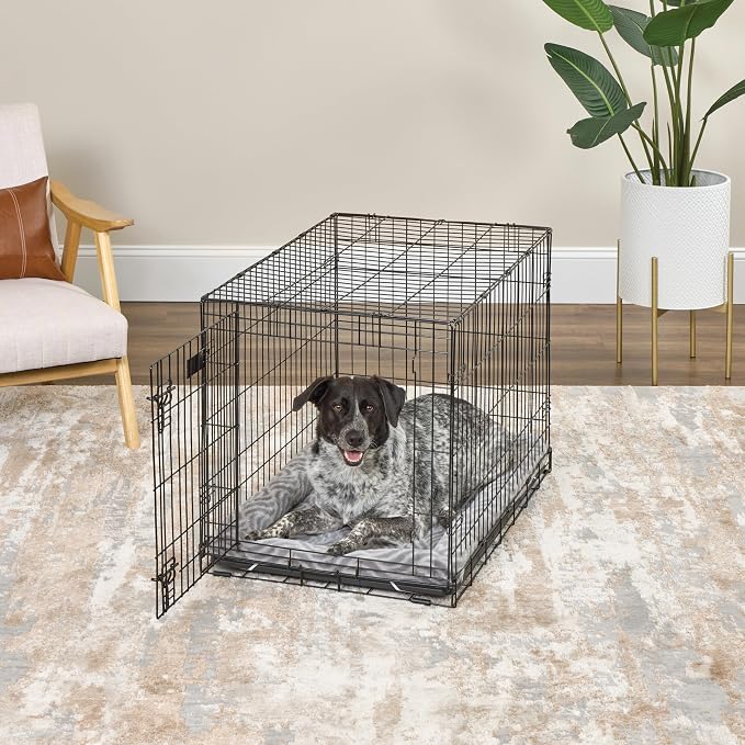 MidWest Homes for Pets QuiteTime Deluxe Wave Bolster Bed for Intermediate Dogs; Easily Machine Wash and Dry; Gray; 36"; 40236-WVGY