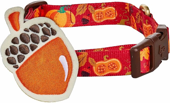 Blueberry Pet Thanksgiving Fall Pumpkin and Acorn Adjustable Dog Collar with Detachable Accessory, Small, Neck 12"-16"
