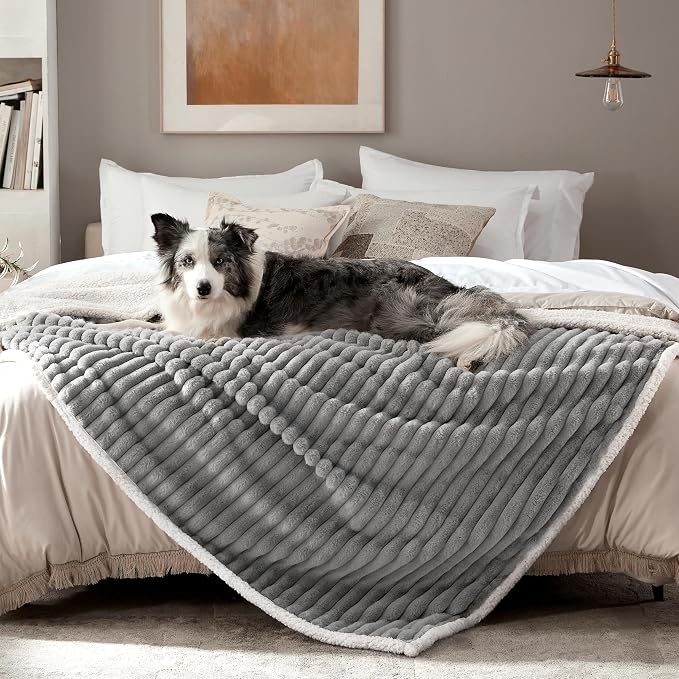 Waterproof Dog Blanket for Extra Large Dogs, Soft Corduroy Fleece Pet Blanket Washable, Dual-Sided Cat Blankets for Furniture Protection, Cozy Calming Couch Blanket, 60"x80", Grey