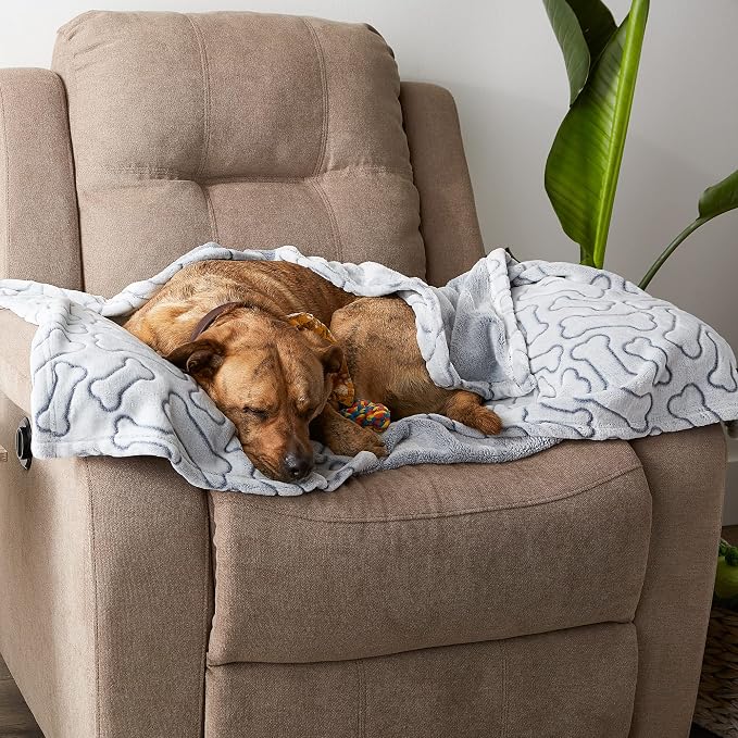 Bone Dry Embossed Bone Print Pet Blanket, 36x48", Gray