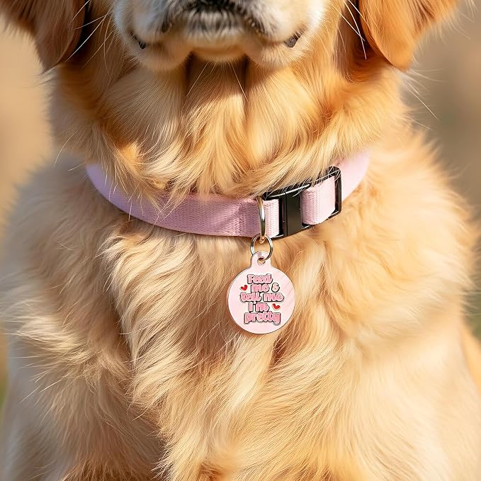 Bad Tags Personalized Dog and Cat ID Tags in 25+ Designs and 2 Sizes - 5 Lines of Custom Engraved Text - Funny Cute Personalized Pet Tags (Feed Me & Tell Me I'm Pretty - Pink, Small (1 inch))