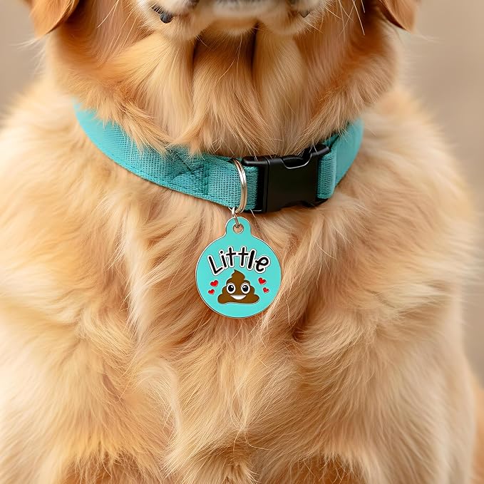 Bad Tags Personalized Dog and Cat ID Tags in 25+ Designs and 2 Sizes - 5 Lines of Custom Engraved Text - Funny Cute Personalized Pet Tags (Little Sh*t, Large (1.25 inch))