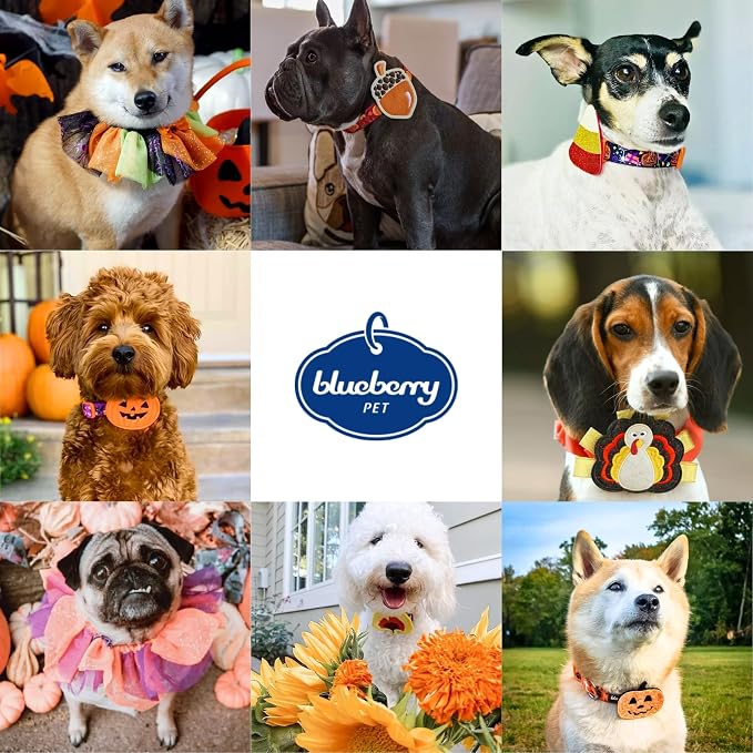 Blueberry Pet Adjustable Thanksgiving Dog Collar - Medium 14.5"-20" Neck, Perfect Puppy Collar for Fall, Maple Décor, Dog Collars for Small Dogs, Ideal for Family Photos & Matching Outfits