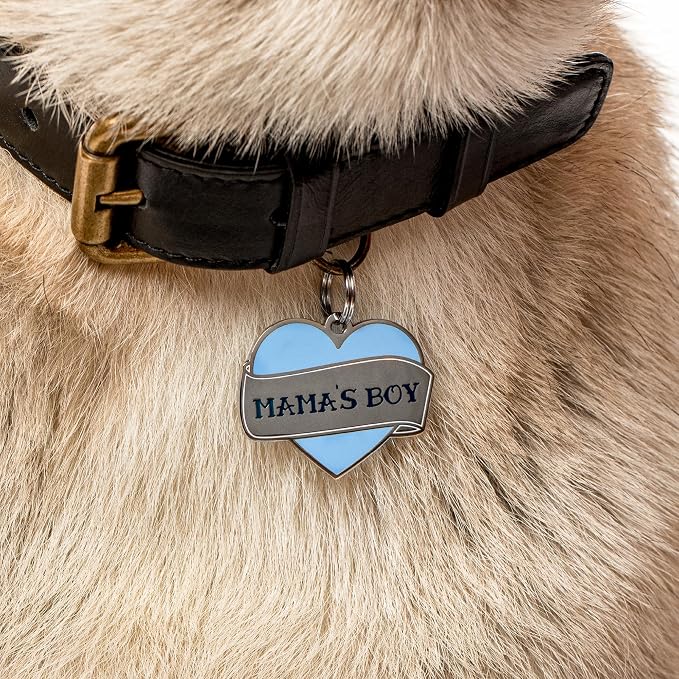 Two Tails Pet Company Personalized 'Mama's Boy' Pet ID Tag - Custom Engraved Dog Tags for Pets - Durable Brass, Silver Plating, Free Engraving for Dog's Name, Perfect for Dog Collars & Leashes