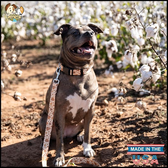 Country Brook Petz - Happy Harvest Everyday Dog Collar - Made in the U.S.A. - Awesome Autumn Collection Featuring Designs You Will Fall for (1 Inch, Extra Large)