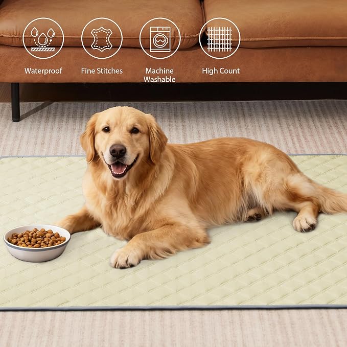 Eterish Reusable Washable Pee Pads for Dogs Large/Extra Large 36'' x 41'' 2 Pack, Absorbent Pet Puppy Dog Training Pads Non-Slip, Waterproof Whelping Potty Pads for Dogs Leak-Proof