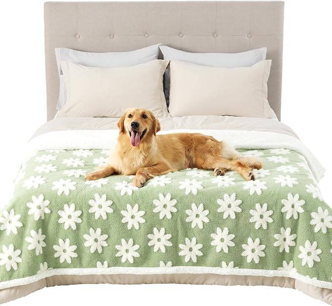 LE SURE Waterproof Dog Blanket for Large Dogs - Washable Double Sided Dog Blankets with Warm Jacquard Shag and Soft Sherpa Fleece, Pet Cat Blanket for Bed Protection, 3D Textured Cloud, Green