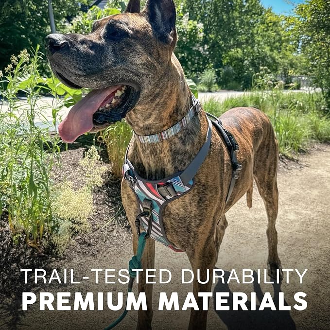 Embark Adventure Small Dog Harness – No-Pull, Reflective Trim, Military-Grade Nylon, Front Clip with Gel-Lined Handle