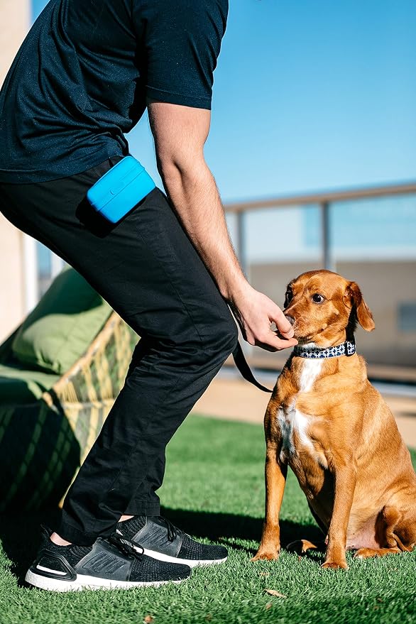 Dexas Pets Pooch Pouch Flexible Dog Treat/Training Treat Clip Pouch, Pro Blue