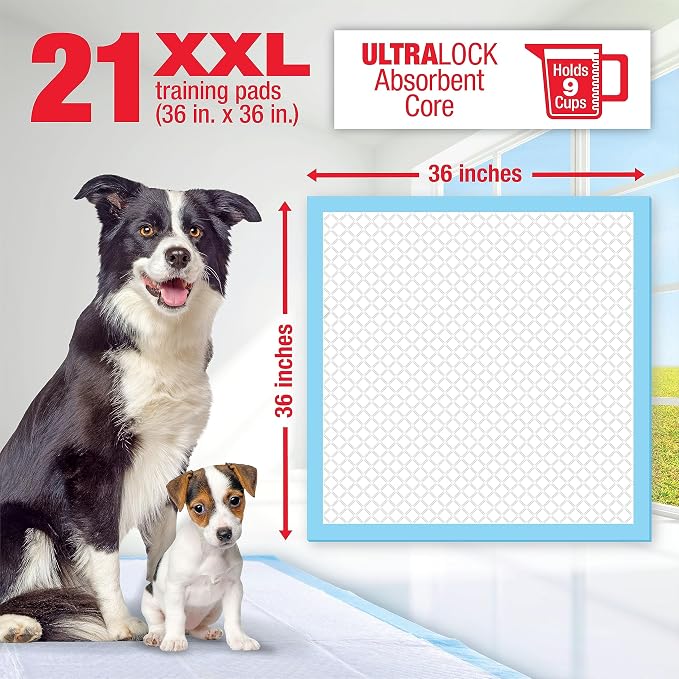 Lil' Squirts XX-Large Mega Training Puppy Pads for Larger Dogs & Multi Dog Homes, Pad Size 3' x 3', 21 Padsper Package, Assorted (82003)