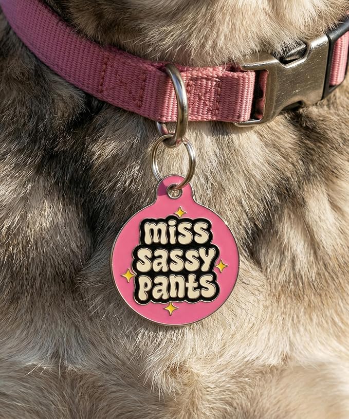 Bad Tags Personalized Dog and Cat ID Tags in 25+ Designs and 2 Sizes - 5 Lines of Custom Engraved Text - Funny Cute Personalized Pet Tags (Miss Sassy Pants, Large (1.25 inch))