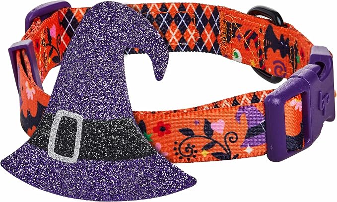 Blueberry Pet Halloween Witch Hat Adjustable Dog Collar with Detachable Glitter Accessory, Medium, Neck 14.5"-20"