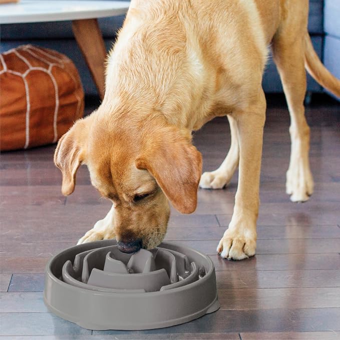 Outward Hound Fun Feeder Slo Bowl – Large 4‑Cup Capacity, Slow Feeding, Medium to Large Dogs, Non‑Slip, Gray, Drop Pattern, 11.75"