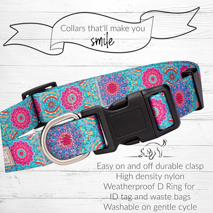 Lucky Love Dog, Boho Chic Matching Dog Collar and Leash Set, Vivid Pink and Turquoise Collar and Leash for Dogs, Soft, Adjustable, Safe for Training and Walking - (Large, Clara Combo)