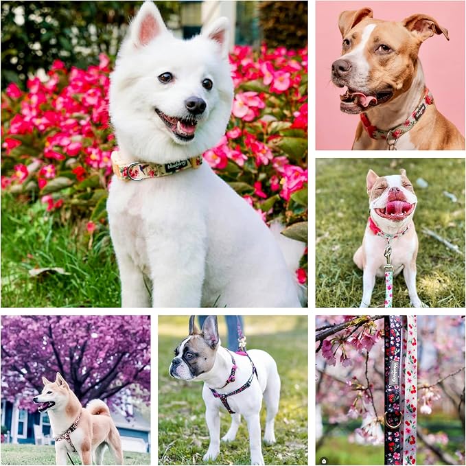 Blueberry Pet Essentials Pink Camo Print Camouflage Adjustable Dog Collar, Large, Neck 18"-26"
