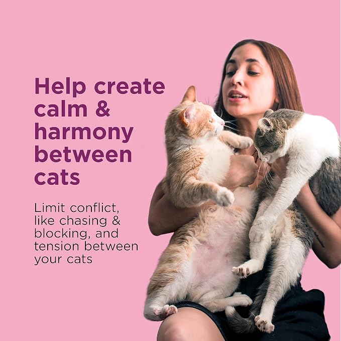 Comfort Zone Multi Cat Calming 1 Room Starter Kit, 1 Diffuser & 1 Refill | Reduce cat stress & multicat aggression & urine marking & scratching, drug & fragrance free, expert recommended, 24/7 calming