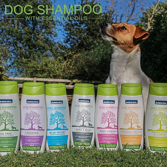 Ancol Baby Pink Dog Shampoo 200Ml