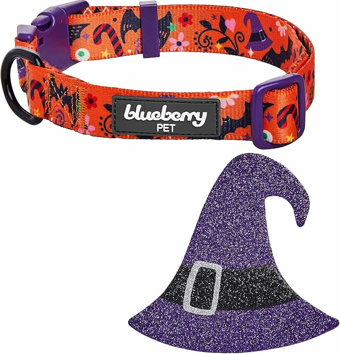 Blueberry Pet Halloween Witch Hat Adjustable Dog Collar with Detachable Glitter Accessory, Medium, Neck 14.5"-20"