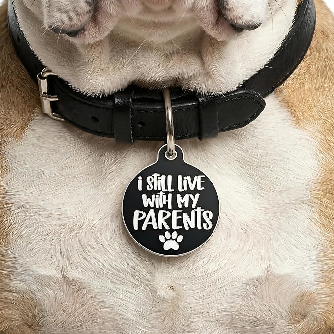 Bad Tags Personalized Dog and Cat ID Tags in 25+ Designs and 2 Sizes - 5 Lines of Custom Engraved Text - Funny Cute Personalized Pet Tags (I Still Live with My Parents, Large (1.25 inch))