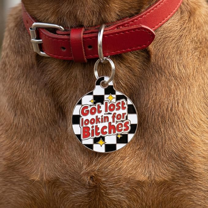 Bad Tags Personalized Dog and Cat ID Tags in 25+ Designs and 2 Sizes - 5 Lines of Custom Engraved Text - Funny Cute Personalized Pet Tags (Got Lost Lookin' for B*tches, Large (1.25 inch))