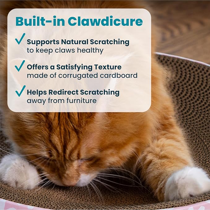 Catstages Scratch & Snuggle 2-in-1 Cat Scratcher & Lounger, Corrugated Cardboard Scratching Pad, Bowl-Shaped Design for Kittens & Indoor Cats up to 15 lbs, 16"