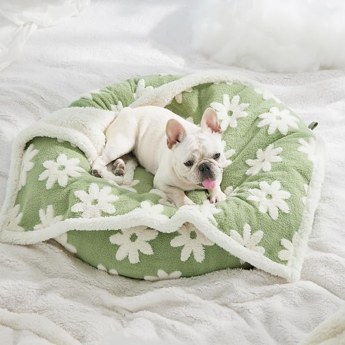 LE SURE Waterproof Dog Blanket for Medium Dogs - Washable Double Sided Dog Blankets with Warm Jacquard Shag and Soft Sherpa Fleece, Pet Cat Blanket for Couch Protection, 3D Textured Cloud, Green