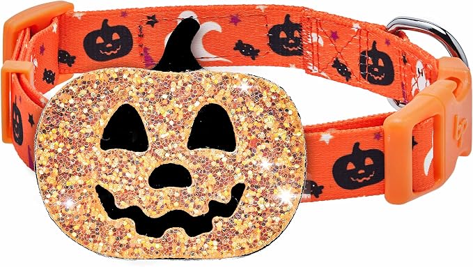Blueberry Pet New Halloween Party Adjustable Dog Collar with Detachable Pumpkin Accessory, Large, Neck 18"-26"