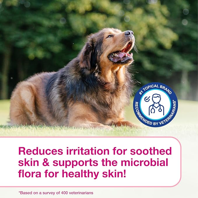 Douxo S3 Calm Dog Shampoo for Itchy Skin Relief, Dog Shampoo for Allergies and Itching, Soothes Itchy, Irritated or Allergic Skin For Dogs and Cats, 6.7 fl oz | Dog Shampoo for Allergies and Itching, Soothes Itchy, Irritated or Allergic Skin For Dogs a...