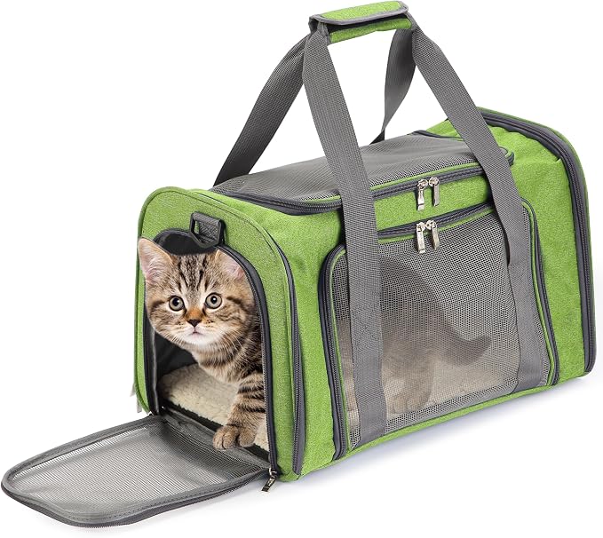 Mr. Pen- Pet Carrier, 17.5" x 11.2" x 11.5", Medium Size, Green | Portable Travel Carrier for Small Pets, Cats & Small Dogs, Breathable Mesh, Safety Inner Leash