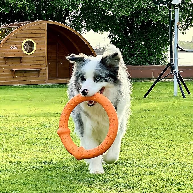 LaRoo Dog Ring Toy, Durable Soft Flying Disc, Thickened, Floatable Dog Chew Ring for Medium Large Dogs, Interactive Tug of War & Fetch Toy for Outdoor Training, Teeth Cleaning & Exercise (Orange)