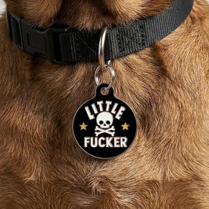 Bad Tags Personalized Dog and Cat ID Tags in 25+ Designs and 2 Sizes - 5 Lines of Custom Engraved Text - Funny Cute Personalized Pet Tags (Little F*cker, Small (1 inch))